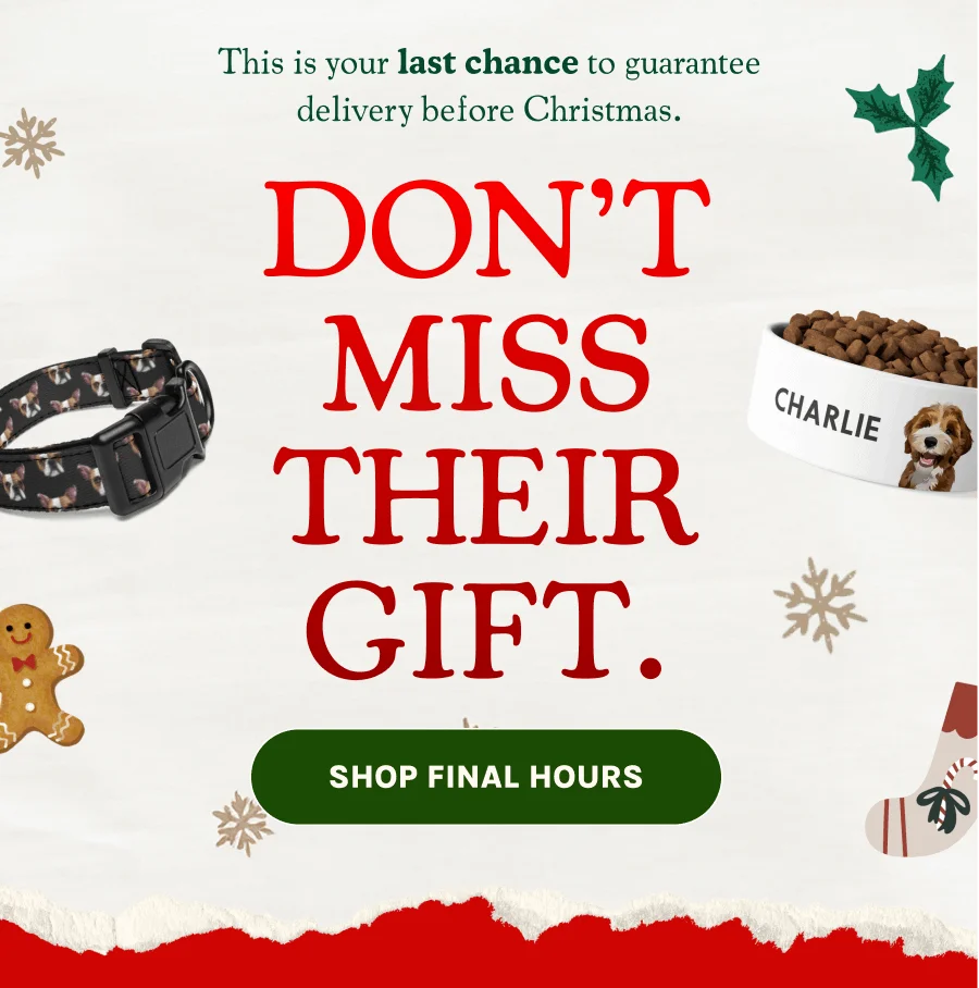 Shop Final Hours