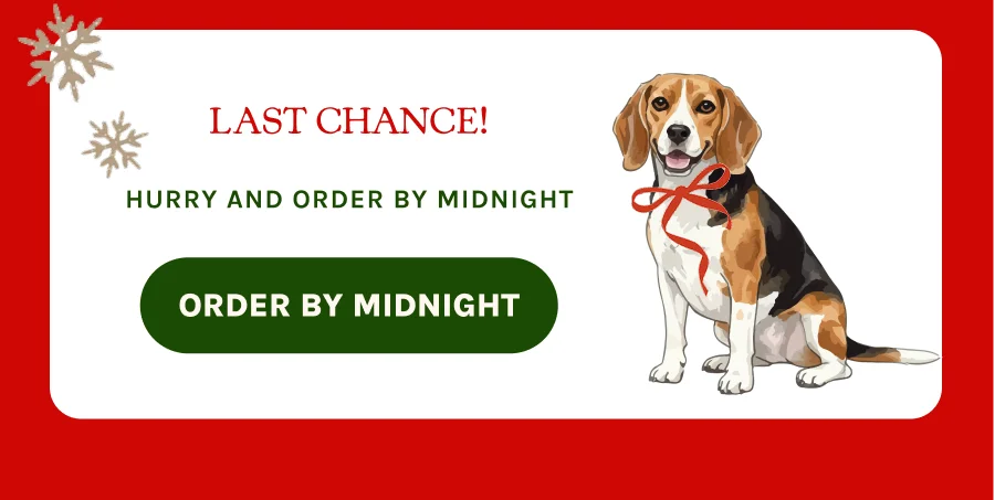 Order By Midnight