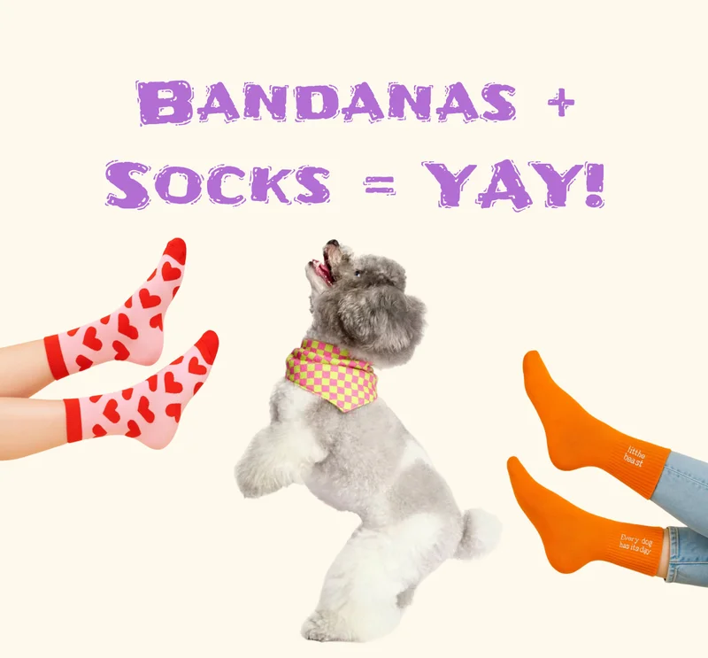 Bandanas + Socks = YAY!
