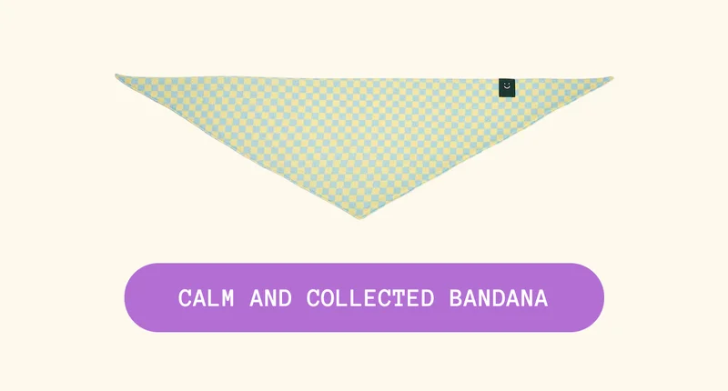 Calm and Collected Bandana