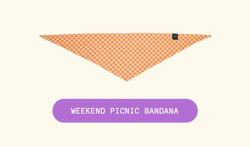 Weekend Picnic Bandana