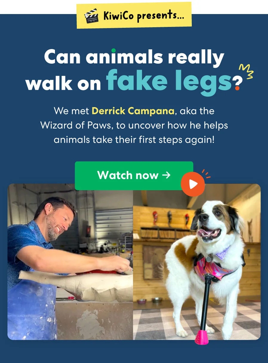 Engineering New Legs for Animals | KiwiCo