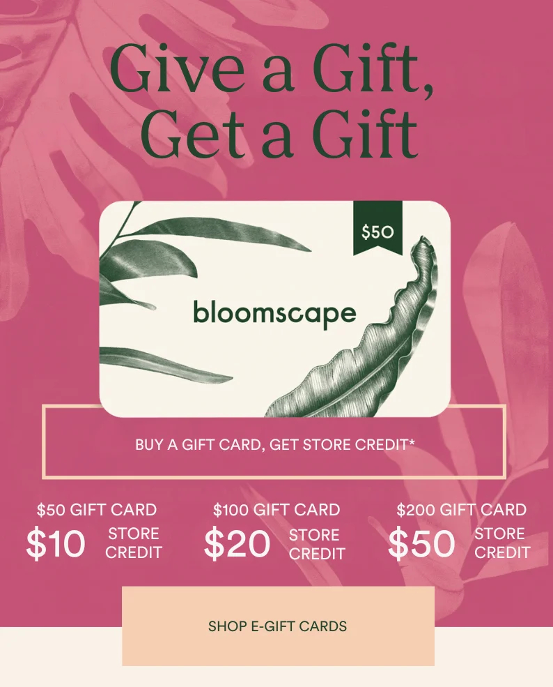 give a gift, earn store credit
