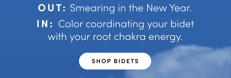 SHOP BIDETS