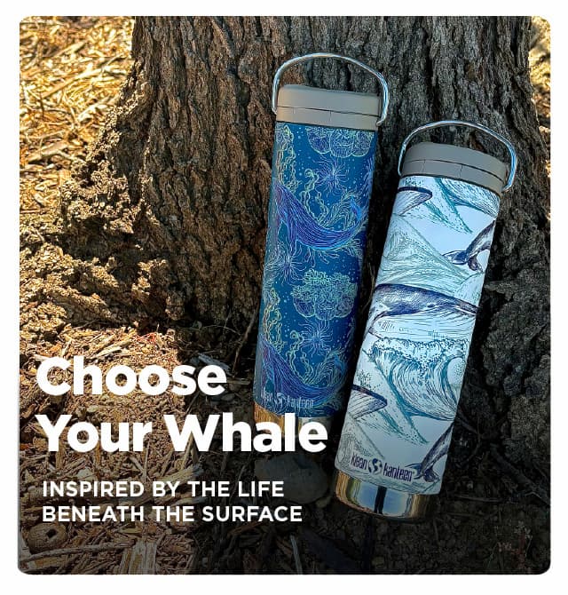 Whale Graphics