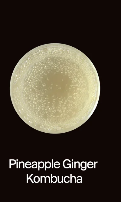 Kombucha, Pineapple Ginger
