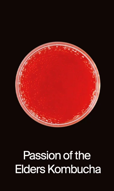 Kombucha, Passion of the Elders