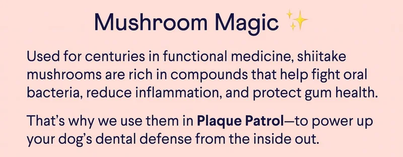 Mushroom Magic. Used for centuries in functional medicine, shiitake mushrooms are rich in compounds that help fight oral bacteria, reduce inflammation, and protect gum health. That’s why we use them in Plaque Patrol—to power up your dog’s dental defense from the inside out.