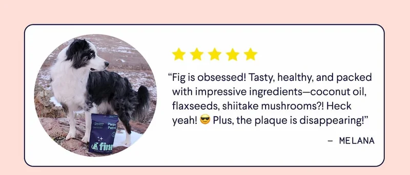 “Fig is obsessed! Tasty, healthy, and packed with impressive ingredients—coconut oil, flaxseeds, shiitake mushrooms?! Heck yeah! 😎 Plus, the plaque is disappearing!” - Melana