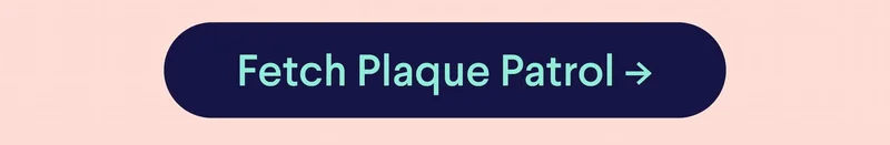 Fetch Plaque Patrol –>