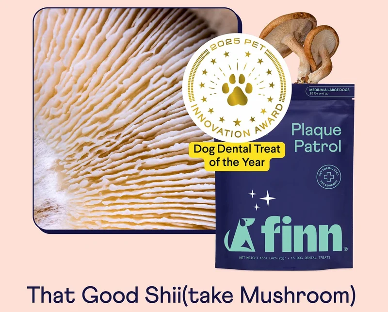 That Good Shii(take Mushroom)