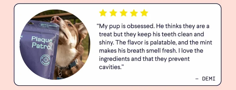 “My pup is obsessed. He thinks they are a treat but they keep his teeth clean and shiny. The flavor is palatable, and the mint makes his breath smell fresh. I love the ingredients and that they prevent cavities.” - Demi