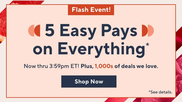 5 easy pays flash