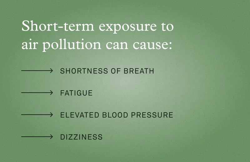 Short term exposure to air pollution can cause shortness of breath, fatigue, elevated pressure, and dizziness