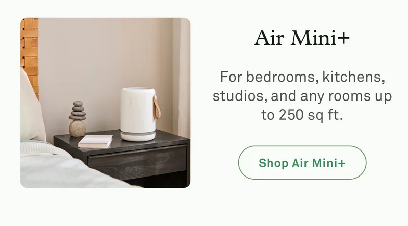 Air Mini+