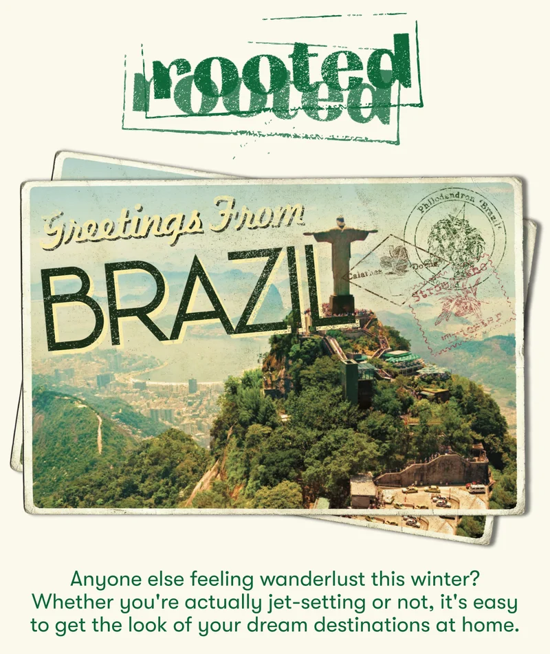 Rooted. Greetings from Brazil!