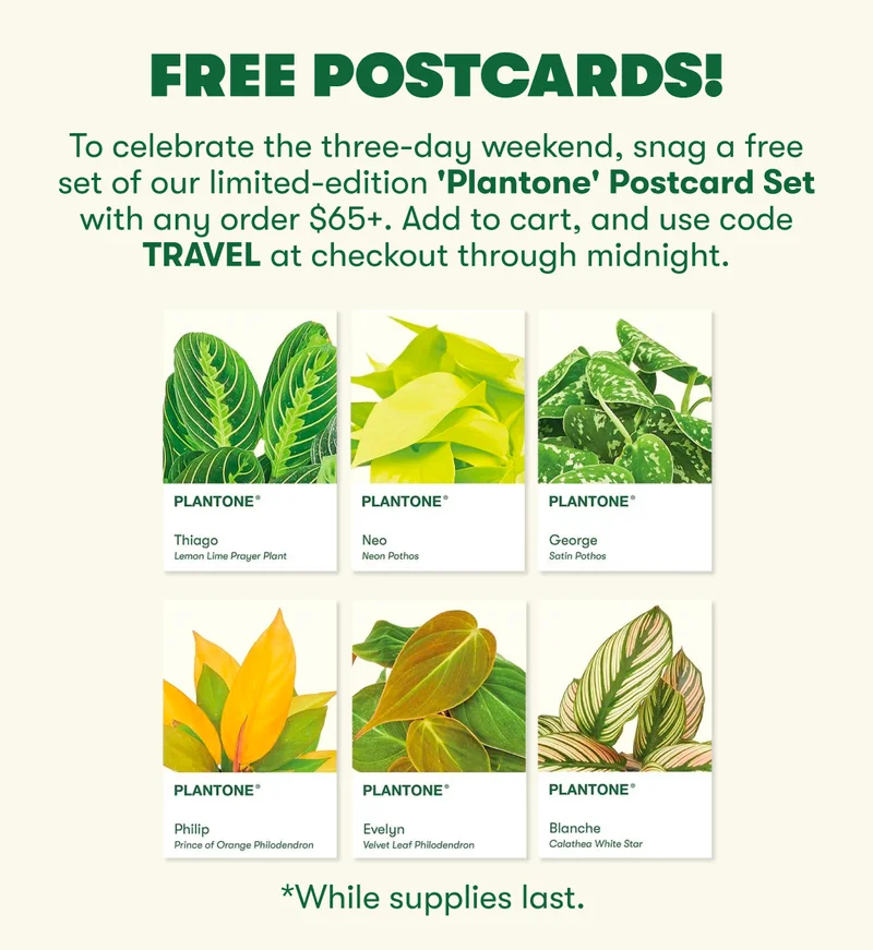 FREE POSTCARDS! To celebrate the three-day weekend, snag a free set of our limited-edition 'Plantone' Postcard Set with any order $65+. Add to cart, and use code TRAVEL at checkout through midnight tonight.  *While supplies last