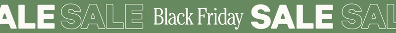 Black Friday Sale