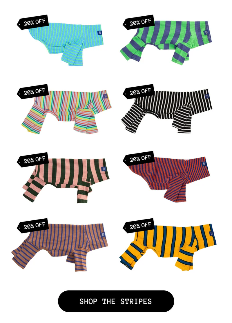 Onesies and sweatshirts are perfect for keeping your pup cozy and chic through the midseason.