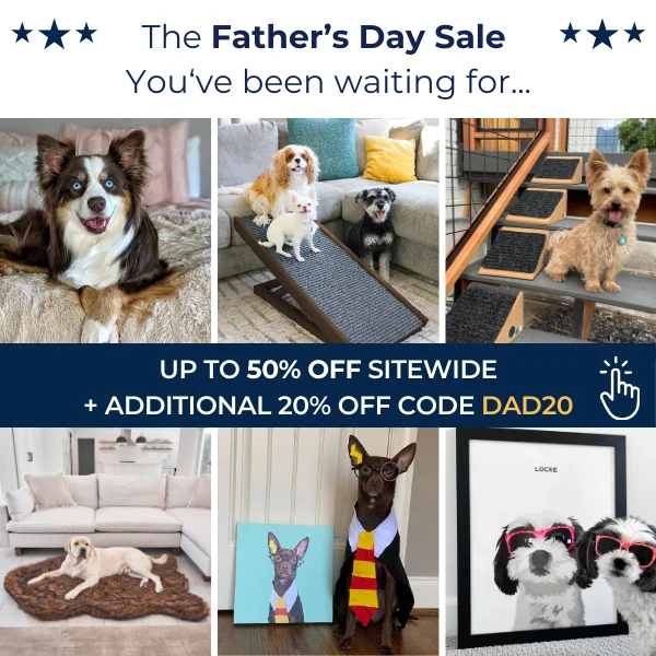 Father's Day Sale