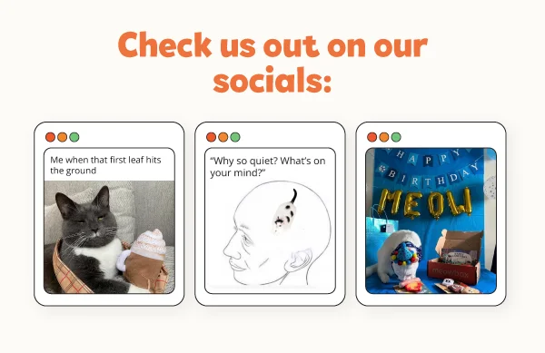 Check us out on our socials! Images of the 3 latest meowbox posts