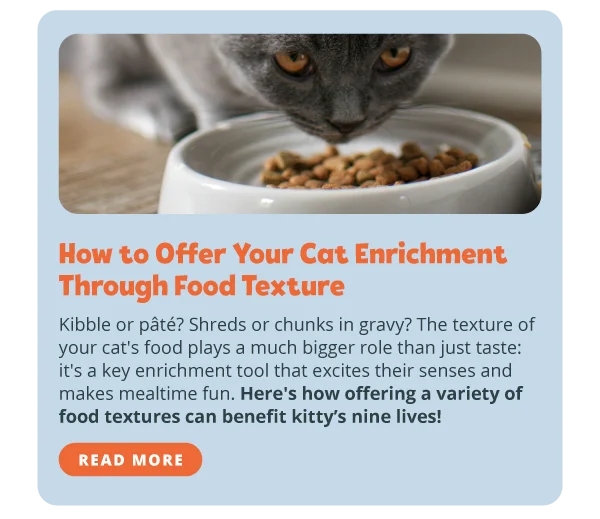 **How to Offer Your Cat Enrichment Through Food Texture**  Kibble or pâté? Shreds or chunks in gravy? The texture of your cat's food plays a much bigger role than just taste: it's a key enrichment tool that excites their senses and makes mealtime fun. Here's how offering a variety of food textures can benefit kitty’s nine lives! Read more.