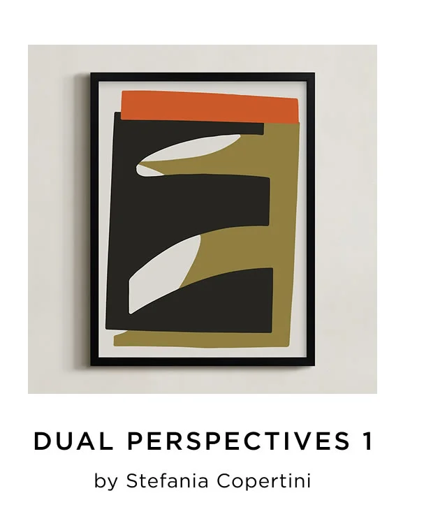 Dual Perspectives 1