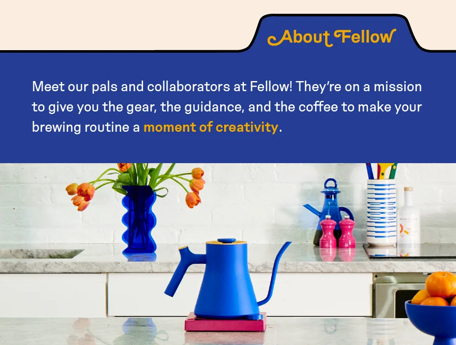 About Fellow