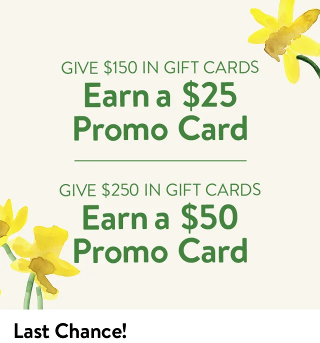 Last chance! Give $150 in gift cards, earn a $25 promo card. Give $250 in gift cards, earn a $50 promo card.