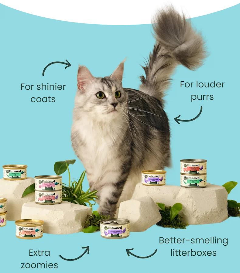 For louder purrs For shinier coats Extra zoomies Better-smelling litterboxes