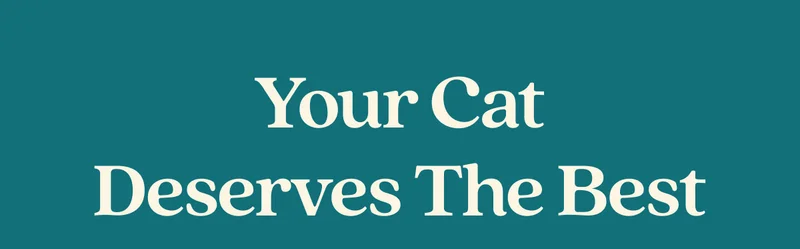 Your Cat Deserves the Best
