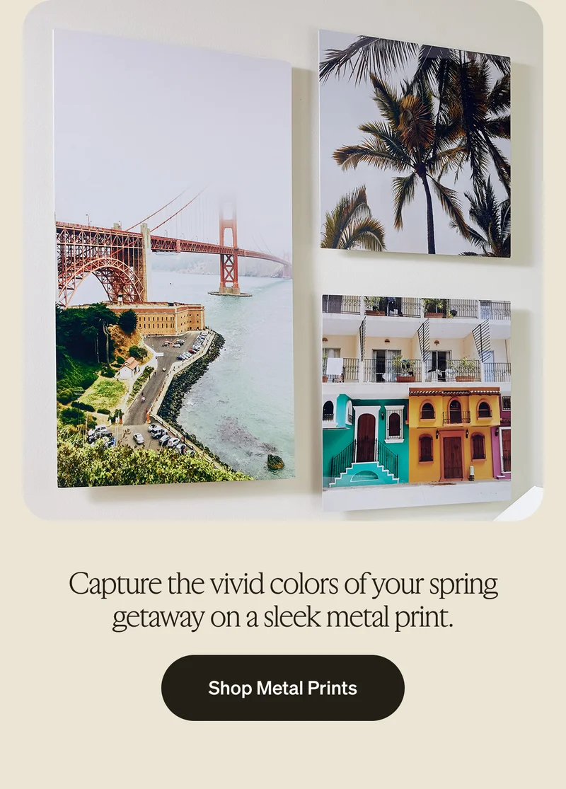 Up to 50% Off Almost Everything + Free Shipping on Orders $19+, 40% Off Photo Book Pages & Upgrades