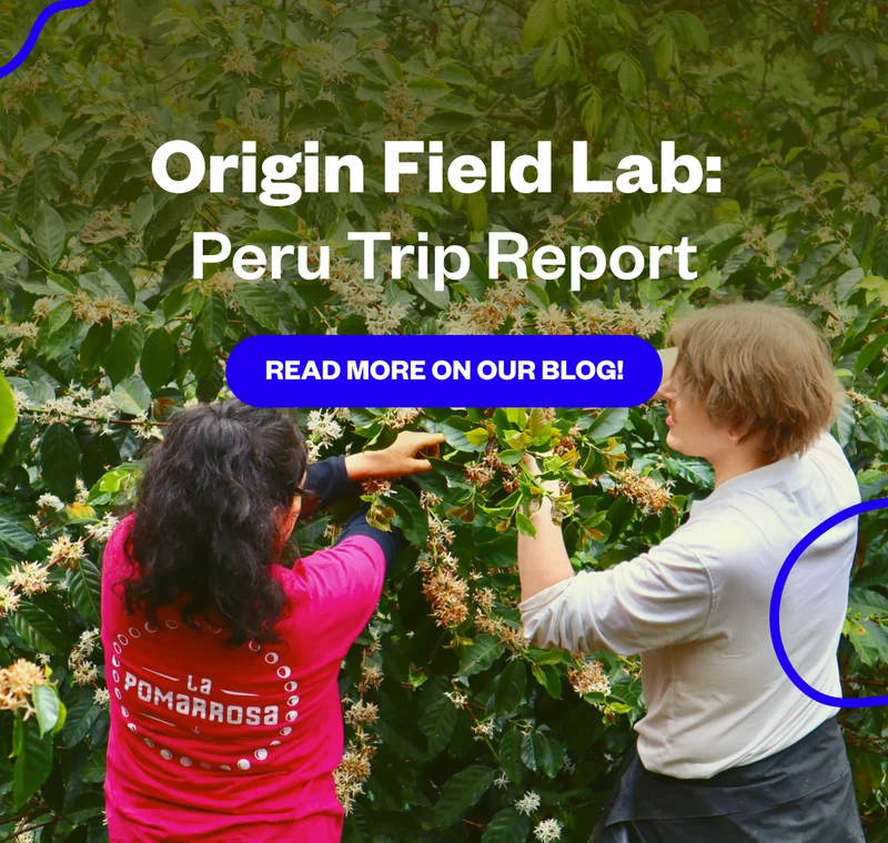 Like many things, COVID-19 put one of our most beloved programs at Counter Culture—Origin Field Lab (OFL)—on hold. OFL offers a fully immersive, hands-on experience in the regions where the coffee we sell is grown. Twenty years ago, we brought our first group of baristas to witness the other side of the coffee value chain, and year after year, it has become the ultimate expression of our commitment to cultivating cutting-edge coffee professionals. Like many things, COVID-19 put one of our most beloved programs at Counter Culture—Origin Field Lab (OFL)—on hold. OFL offers a fully immersive, hands-on experience in the regions where the coffee we sell is grown. Twenty years ago, we brought our first group of baristas to witness the other side of the coffee value chain, and year after year, it has become the ultimate expression of our commitment to cultivating cutting-edge coffee professionals.