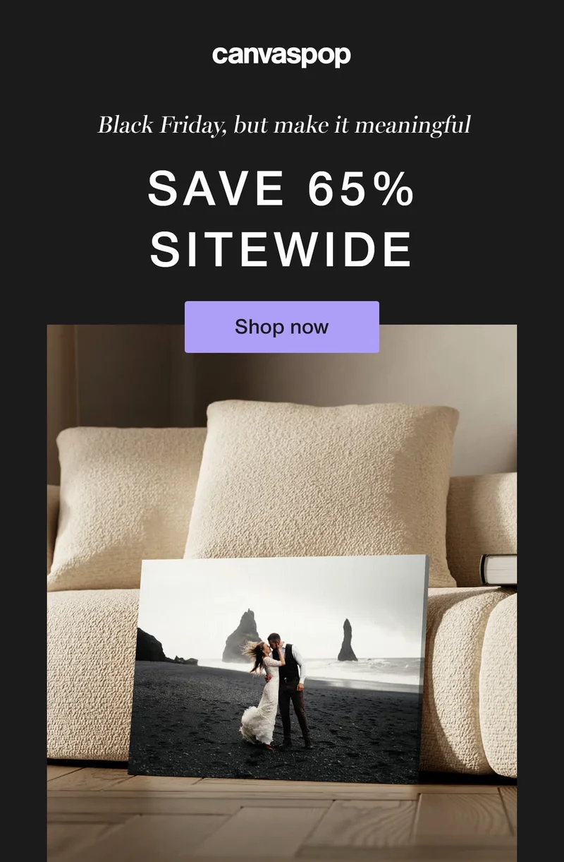Black Friday, but make it meaningful. Save 65% sitewide.