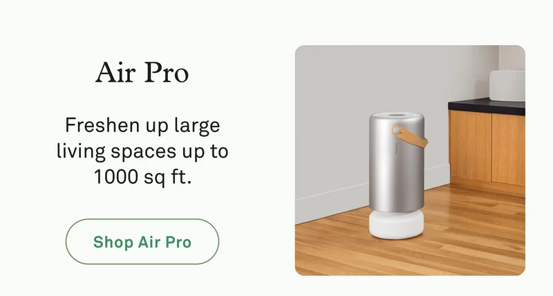 Air Pro