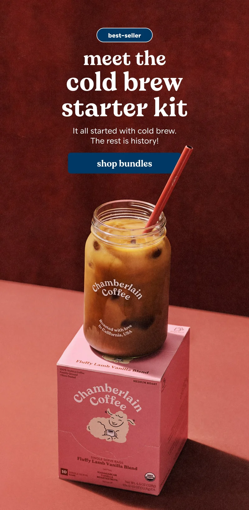 cold brew starter kit