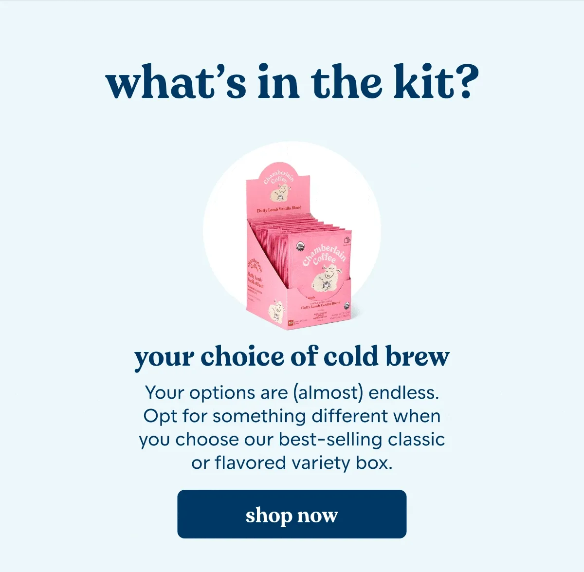 cold brew starter kit