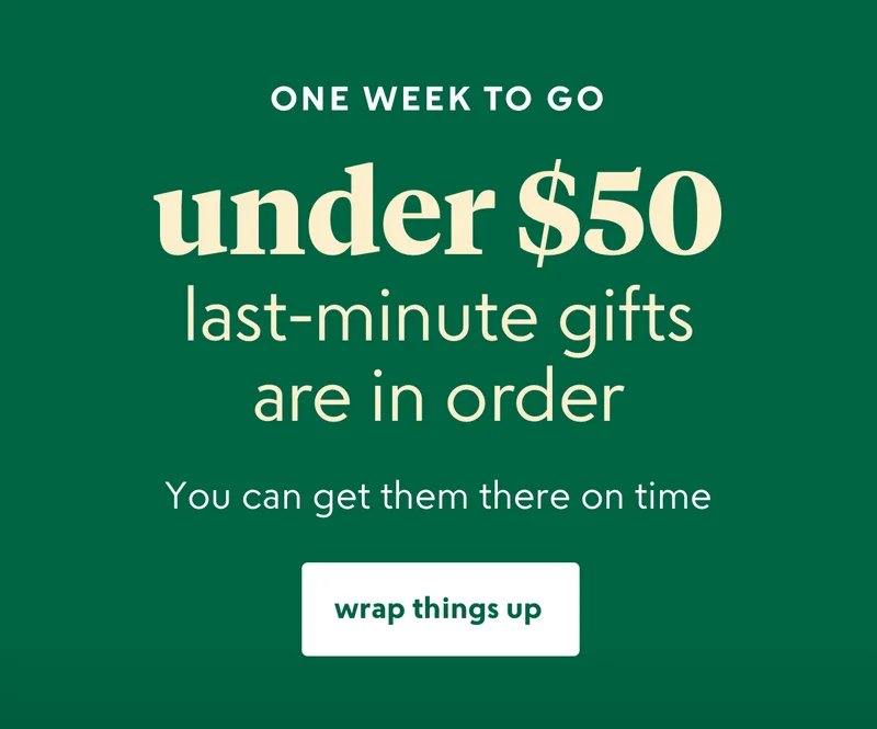 shop now