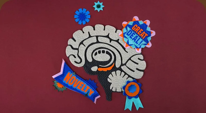 An illustration of a brain with the words “Great Deal” and “Novelty” around it.