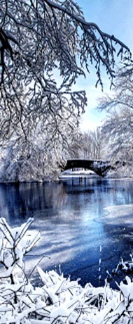 Boston in the winter.