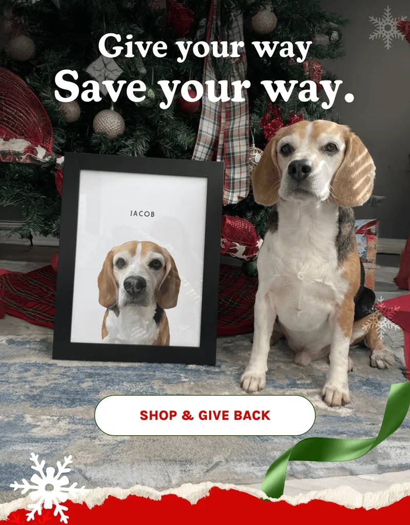 Shop & Give Back