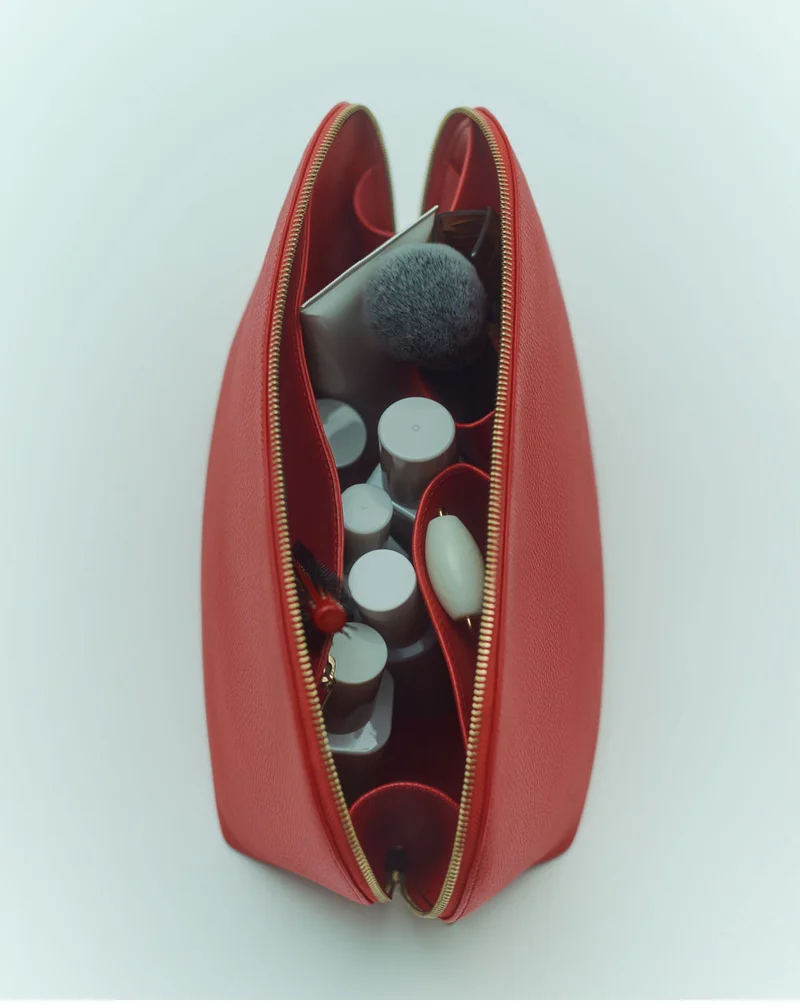 Voyager Travel Case