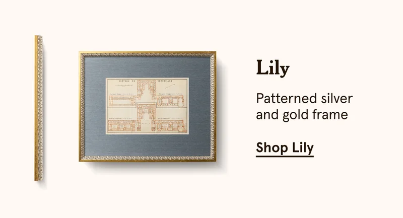 Shop Lily