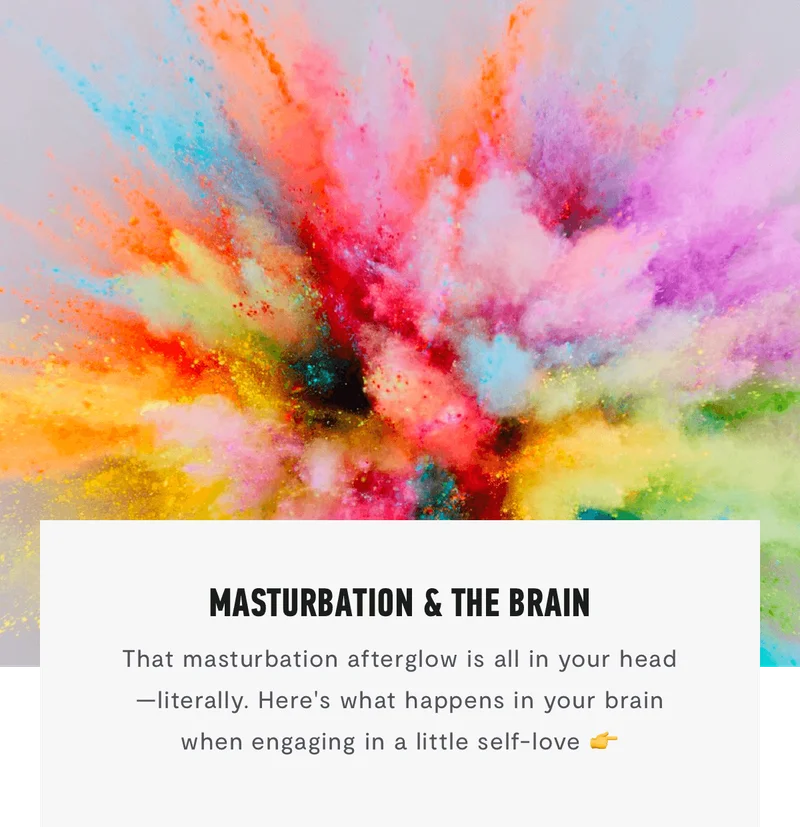 Masturbation & The Brain