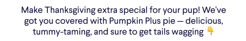 Make Thanksgiving extra special for your pup! We've got you covered with Pumpkin Plus pie — delicious, tummy-taming, and sure to get tails wagging 👇
