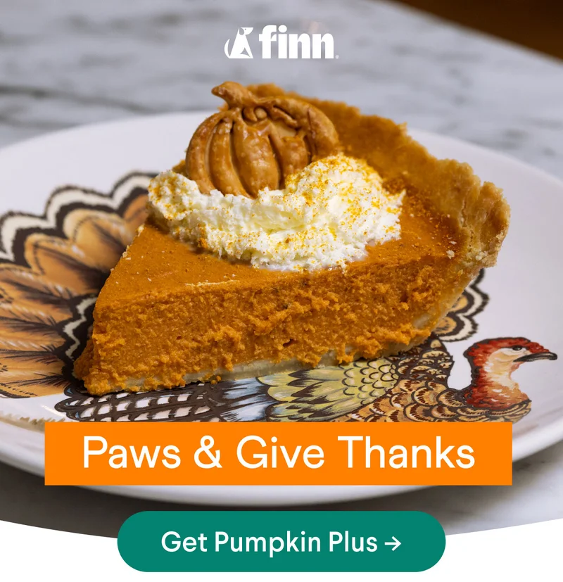 Paws and Give Thanks | Get Pumpkin Plus –>