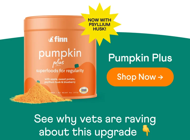 Now with Psyllium Husk: Shop Pumpkin Plus!