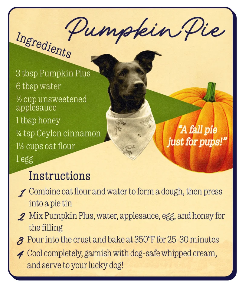 Ingredients: 3 tbsp Pumpkin Plus powder, 6 tbsp water, ½ cup unsweetened applesauce, 1 egg 1 tablespoon honey  ¼ teaspoon Ceylon cinnamon  1½ cups oat flour Instructions: Combine oat flour and water to form a dough, then press into a pie tin. Mix Pumpkin Plus, water, applesauce, egg, and honey for the filling. Pour into the crust and bake at 350°F for 25-30 minutes. Cool completely, garnish with dog-safe whipped cream, and serve to your lucky dog!