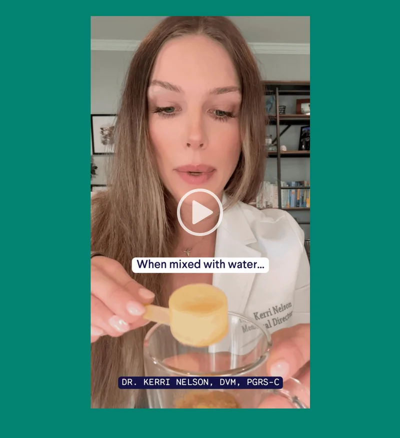 See why vets are raving about this upgrade | Watch Dr. Kerri –>