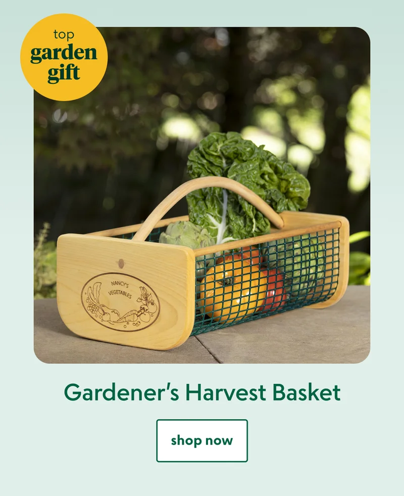 gardeners-harvest-basket